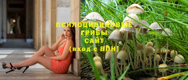 твердый Пролетарск